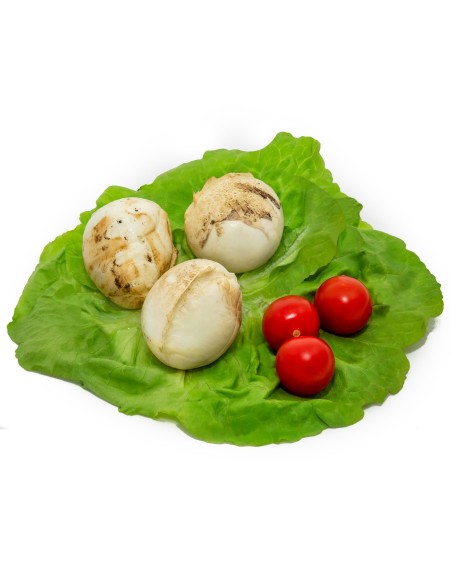 Bocconcini affumicati di Bufala