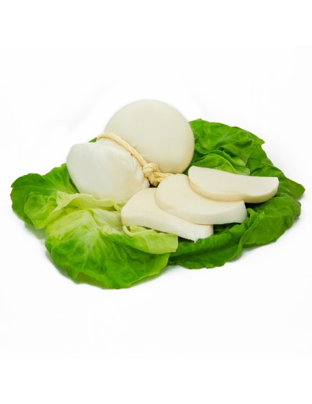 Scamorza di Bufala