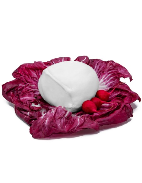 Fiordilatte