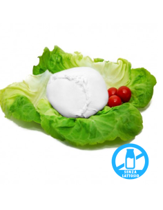 Mozzarella senza Lattosio 100% Latte di Bufala