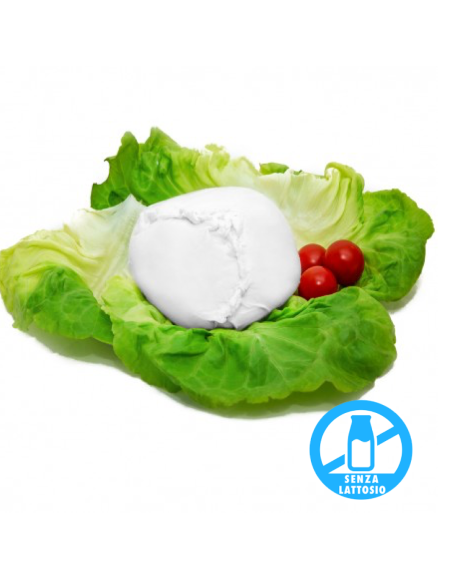 Mozzarella senza Lattosio 100% Latte di Bufala