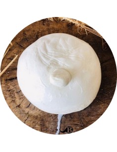 La Sizzona di Battipaglia da 1 a 10 kg | Mozzarelle di Battipaglia