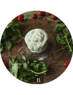 La Burrata di Bufala | Mozzarelle di Battipaglia