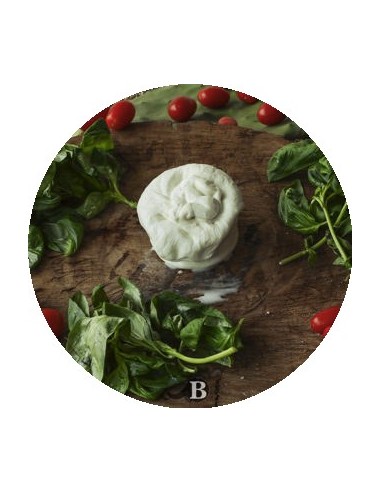 La Burrata di Bufala | Mozzarelle di Battipaglia