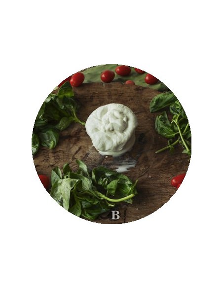 La Burrata di Bufala | Mozzarelle di Battipaglia