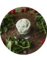 La Burrata di Bufala | Mozzarelle di Battipaglia