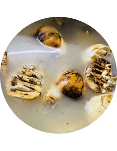 L'Affumicata di Bufala | Mozzarelle di Battipaglia 2