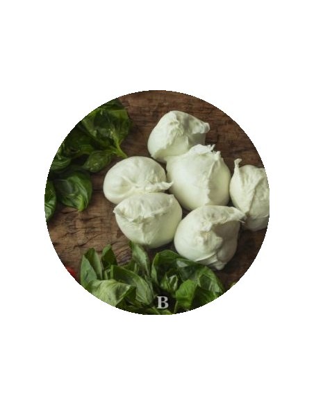 La Mozzarella di Bufala 100% | Mozzarelle di Battipaglia