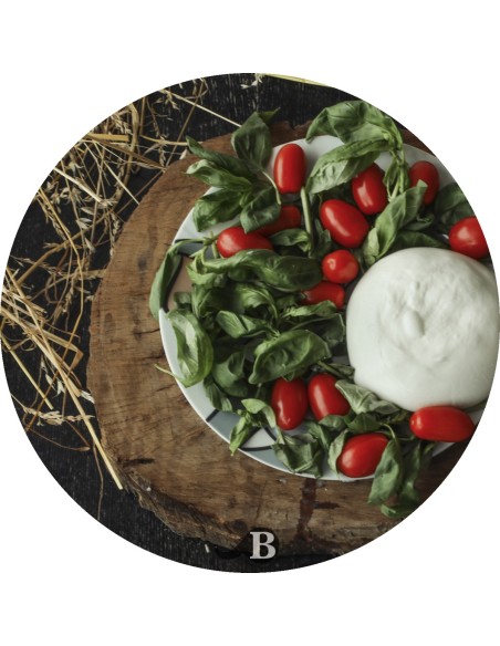 La Mozzarella di Bufala 100% | Mozzarelle di Battipaglia