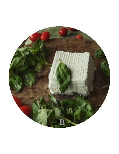 La Ricotta di Bufala | Mozzarelle di Battipaglia