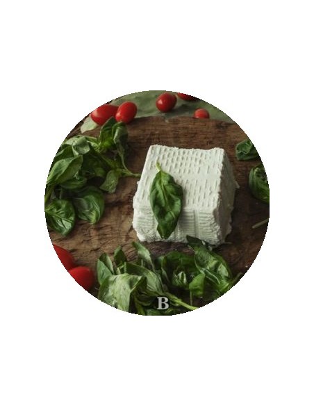La Ricotta di Bufala | Mozzarelle di Battipaglia