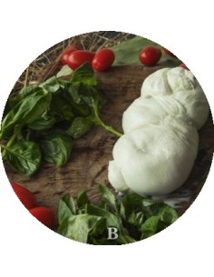 La Treccia di Bufala | Mozzarelle di Battipaglia