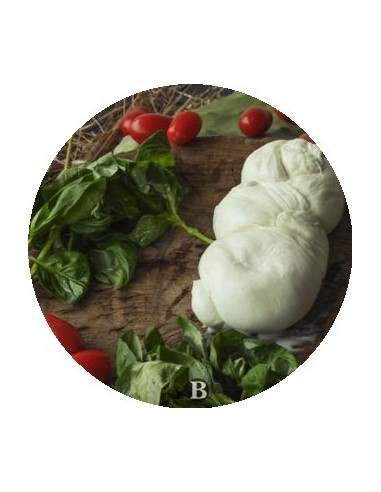 La Treccia di Bufala | Mozzarelle di Battipaglia