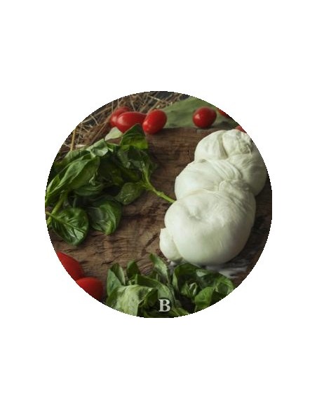 La Treccia di Bufala | Mozzarelle di Battipaglia