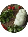 La Treccia di Bufala | Mozzarelle di Battipaglia