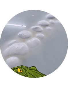 Il Coccodrillo di Battipaglia | Mozzarelle di Battipaglia