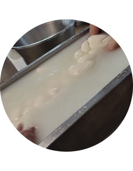 Il Coccodrillo di Battipaglia | Mozzarelle di Battipaglia
